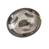 Настенный светильник Odeon Light L-Vision Mela