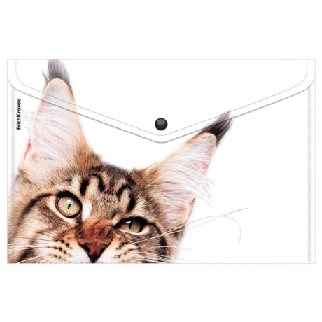 Нарушена упаковка!  <710040> Папка-конверт на кнопке пластиковая ERICH KRAUSE "Hiding Cats", A4, ассорти, 61155 (272656)