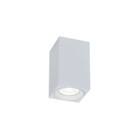 Накладной светильник Maytoni Technical Focus C011CL-01W