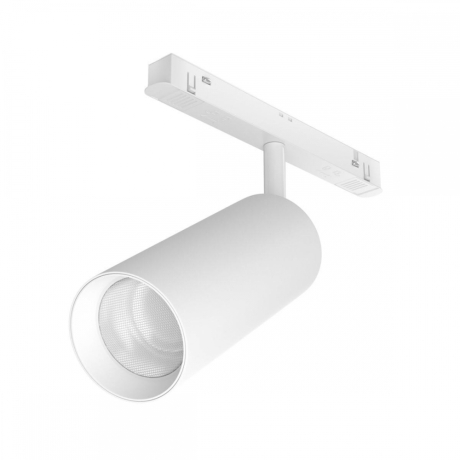 Светильник на штанге Maytoni Technical Focus LED TR032-2-20W3K-S-W 