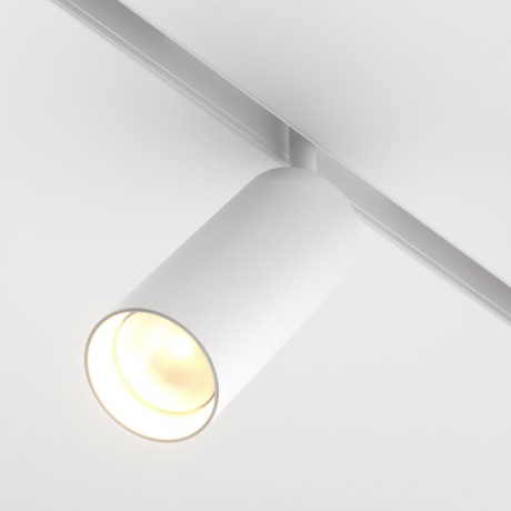 Светильник на штанге Maytoni Technical Focus LED TR032-2-20W3K-S-W 