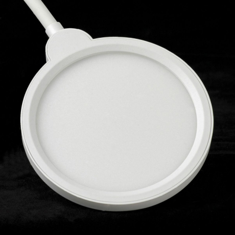 Торшер Lussole Amador LSP-0919 