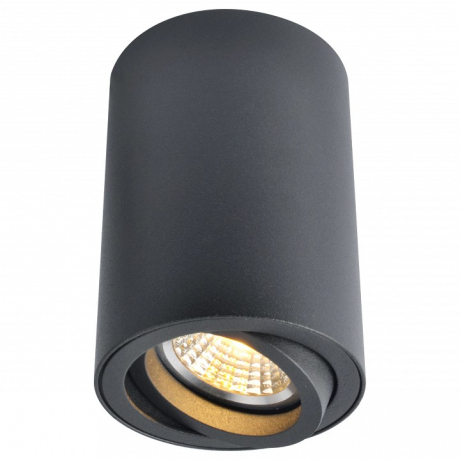 Накладной светильник Arte Lamp Sentry A1560PL-1BK 