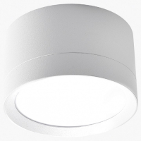 Накладной светильник LEDS POWER SPOT 009384