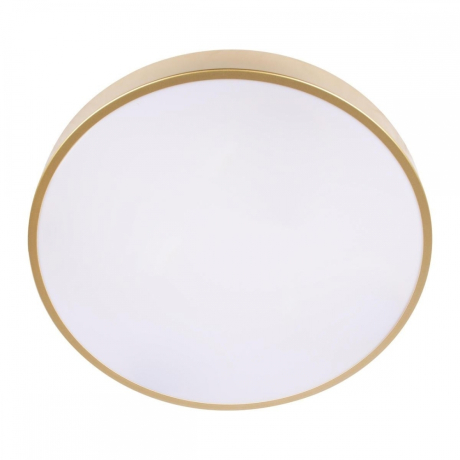 Потолочный светодиодный светильник Loft IT Flims 10228/A 