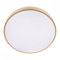 Потолочный светодиодный светильник Loft IT Flims 10228/A