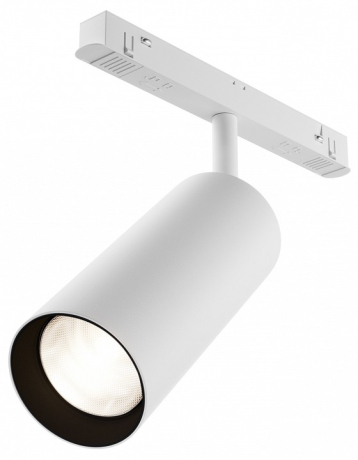 Светильник на штанге Maytoni Technical Focus LED TR032-2-20W4K-S-W 