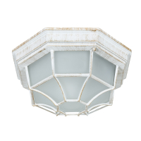 Нарушена упаковка!  <35109>  Уличный настенно-потолочный светильник Arte Lamp Pegasus A3121PF-1WG