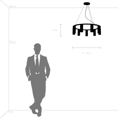 Подвесная люстра Lightstar с поддержкой Маруся Roma 718093 