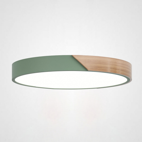 Потолочный светильник Clip Green D40 ImperiumLoft CLIP01 (193047-26) 