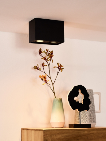 22953/02/30 Потолочный точечный светильник Lucide Tube 