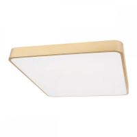 Потолочный светодиодный светильник Loft IT Flims 10228/D