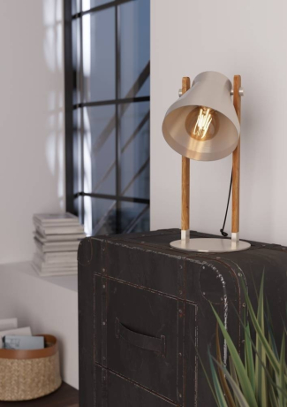 Настольная лампа декоративная Eglo Cawton 43953 