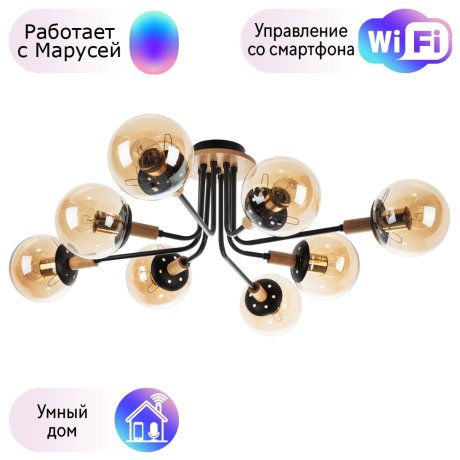 Потолочная люстра Oxford Arte lamp Oxford с поддержкой Маруся A2716PL-8BK-М 