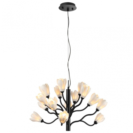 Подвесная люстра Odeon Light GARDI 5090/15 