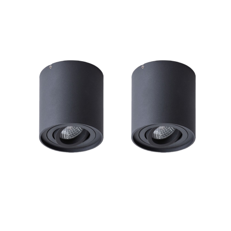 Комплект 2шт. Потолочный светильник Arte Lamp Galopin A1460PL-1BK-2 