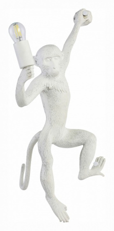 Накладной светильник EVOLUCE Tenato SLE115111-01 