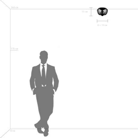 Потолочный светильник Celesta Lightstar 809000 