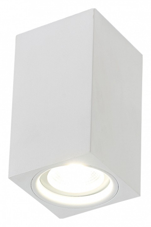 Накладной светильник SIMPLE STORY 2035 2035-1CLW 