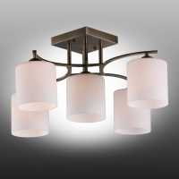 OML-55317-05 Потолочная люстра Omnilux Pisticci