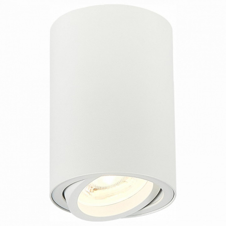 Спот ST-Luce Torus ST108.507.01 