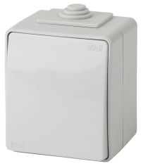 Переключатель одноклавишный ЭРА Эксперт 10AX 250V IP65 11-1603-03 Б0035975