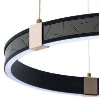 Подвесной светильник с пультом ДУ Arte Lamp Shine A2222SP-3BK