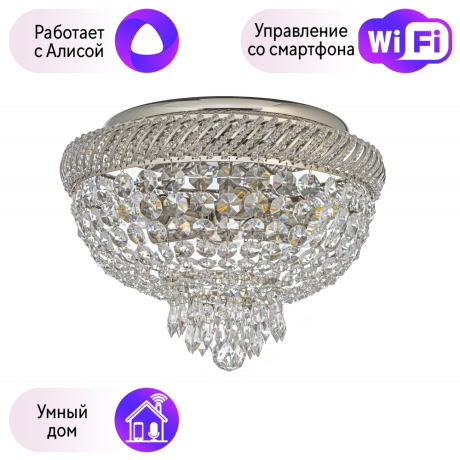 Потолочный светильник Dio DArte Elite с поддержкой Алиса Bari E 1.2.35.100 N-A 