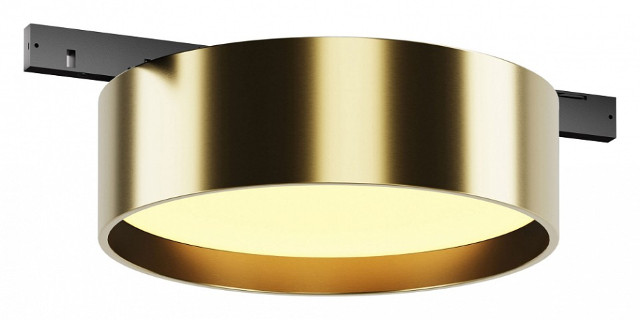 Накладной светильник Maytoni Technical Zon TR189-1-12W2.7K-BBS 