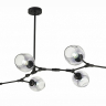Подвесная люстра EVOLUCE Rametto SLE154843-07