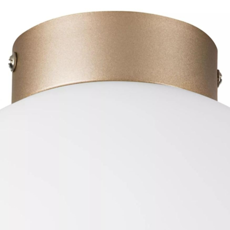 Плафон потолочный Lightstar Globo 812023 