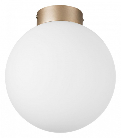 Накладной светильник Lightstar Globo 812023 