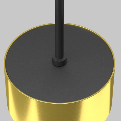 Подвесной светильник Maytoni Technical Glare P102PL-12W3K-BS 