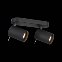 SL597.401.02 Спот поворотный ST-Luce FANALE