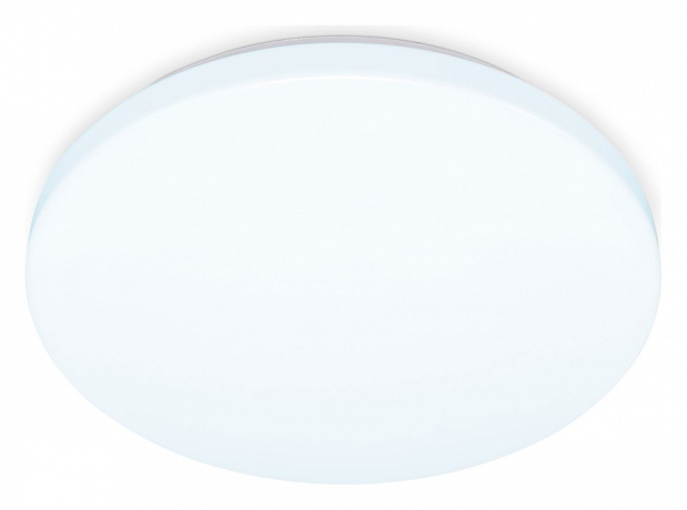 Накладной светильник Ambrella Light FZ FZ1010 