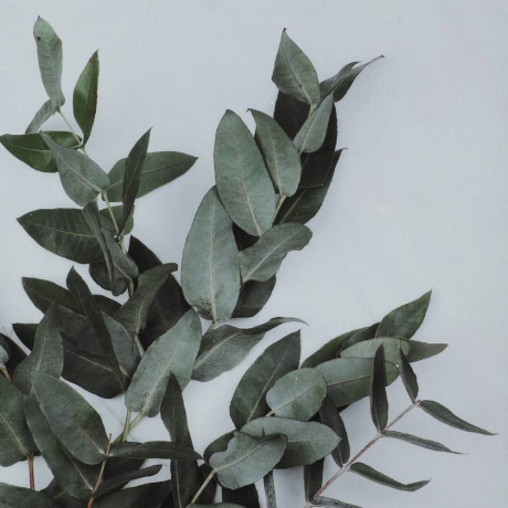 Фоторамка Eglo RENABIE (423015)