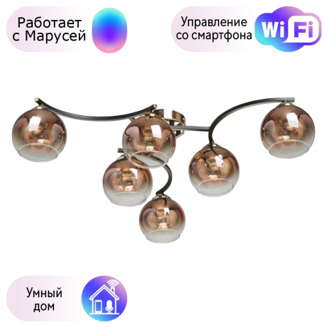 Потолочная люстра Вита De Markt с поддержкой Маруся 220013306-М 