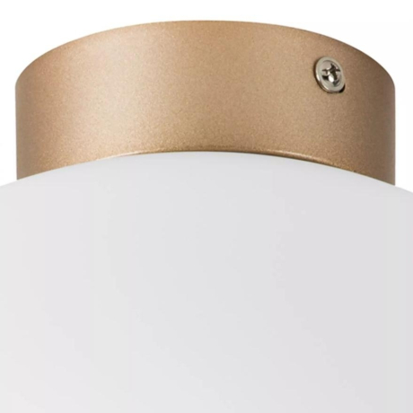 Плафон потолочный Lightstar Globo 812033 