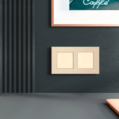 Рамка на 2 поста Werkel AluMax шампань W0023511