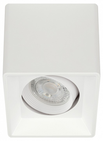 Накладной светильник Эра OL24-1 WH Б0054381 