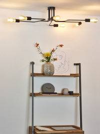 21112/06/30 Люстра потолочная Lucide Lester