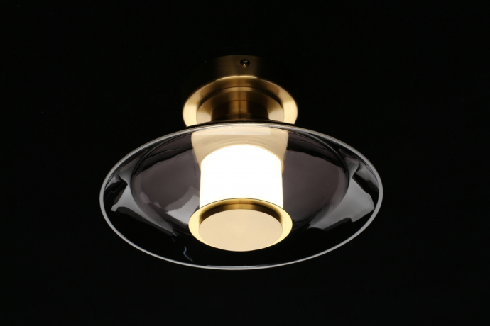 Накладной светильник Aployt Stefa APL.648.01.10 