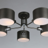 Люстра с поддержкой Алисы потолочная Omnilux OML-54507-05-A 
