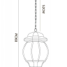 Уличный подвесной светильник Arte Lamp Atlanta A1045SO-1BG