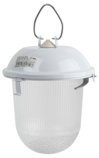 Светильник ЖКХ без решетки Желудь Эра НСП 02-100-001 IP54 E27 max 100Вт 170х260 белый (Б0052017)