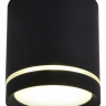 Накладной светильник Omnilux Capurso OML-102419-05