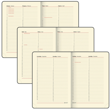 Нарушена упаковка!  <199661> Ежедневник недатированный А5 138х213 мм BRAUBERG "Cayman" под кожу, 160 л., коричневый/коричневый, 125084 (125084)