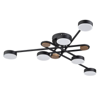 Люстры потолочные Arte Lamp Taygeta A2455PL-6BK