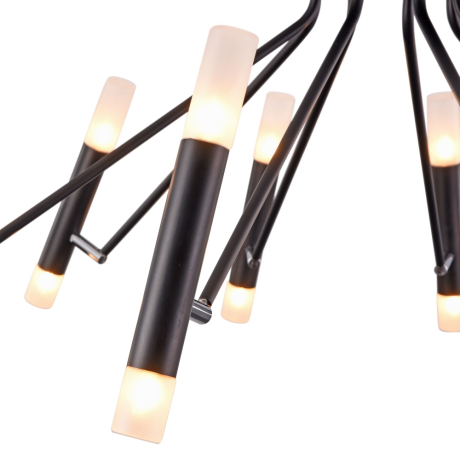 Потолочная люстра Maytoni Vigo MOD620CL-16B 