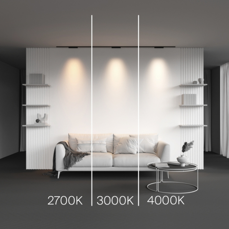 Трековый светильник Technical TR193-1-10W2.7K-M-B Points 